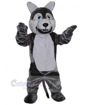 Wolf mascot costume