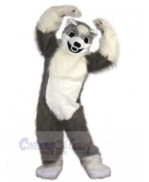 Wolf mascot costume