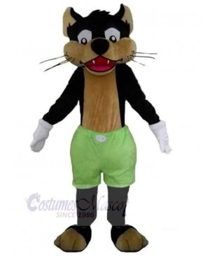 Wolf mascot costume