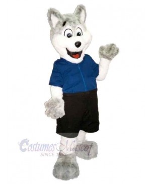 Wolf mascot costume