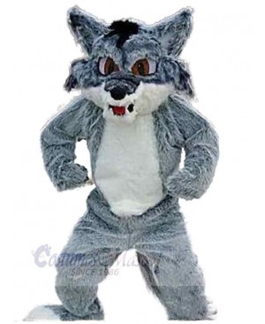 Wolf mascot costume