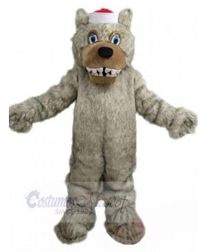 Wolf mascot costume