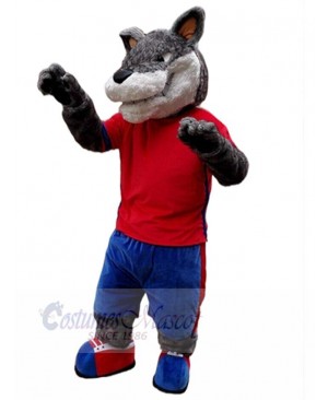 Wolf mascot costume