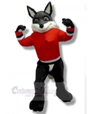 Wolf mascot costume