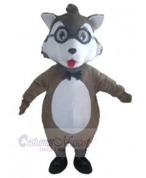 Wolf mascot costume