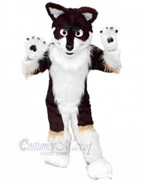 Wolf mascot costume