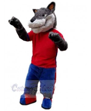 Wolf mascot costume