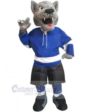 Wolf mascot costume