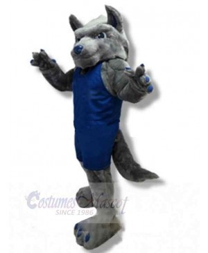 Wolf mascot costume