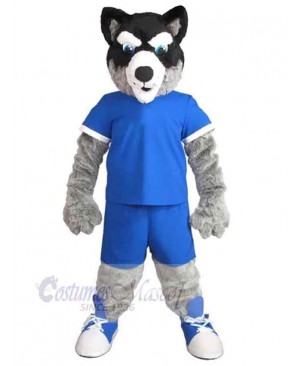 Long Wool Wolf Mascot Costume Animal in Blue Sportswear