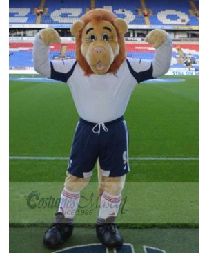 Lion mascot costume