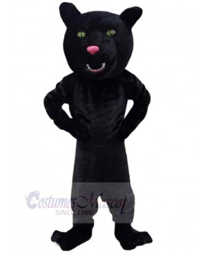 Panther mascot costume