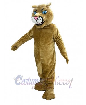 Cougar mascot costume