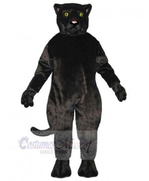 Panther mascot costume