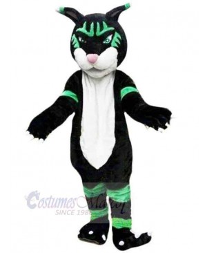 Panther mascot costume