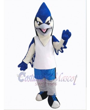 Bird mascot costume