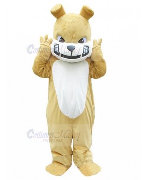 dog mascot costume