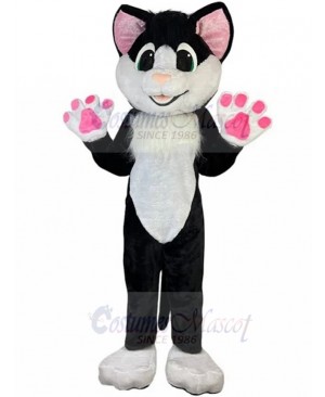 cat mascot costume