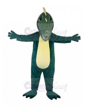 Crocodile mascot costume