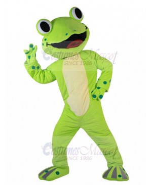 frog mascot costume