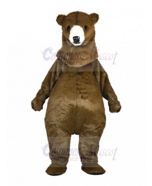 bear mascot costume