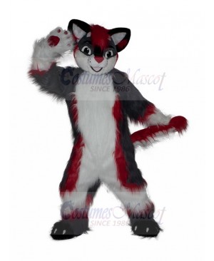 Fox mascot costume