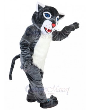 Wildcat mascot costume