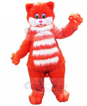 cat mascot costume