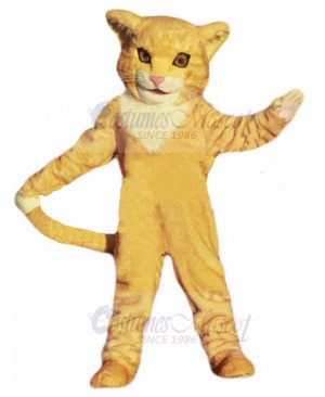 cat mascot costume