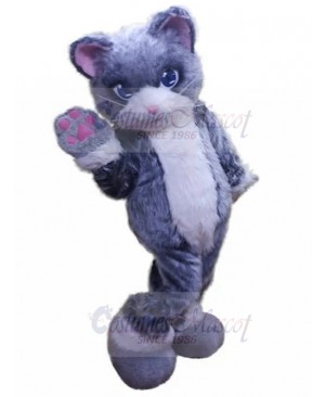 cat mascot costume