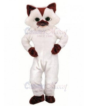 cat mascot costume