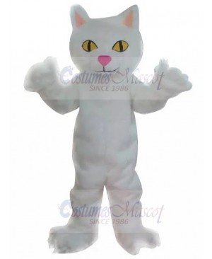 cat mascot costume