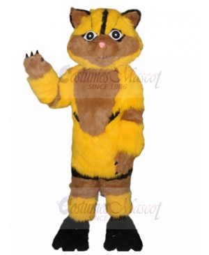 cat mascot costume
