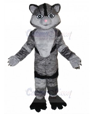 cat mascot costume