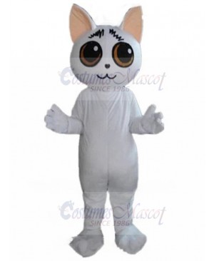 cat mascot costume