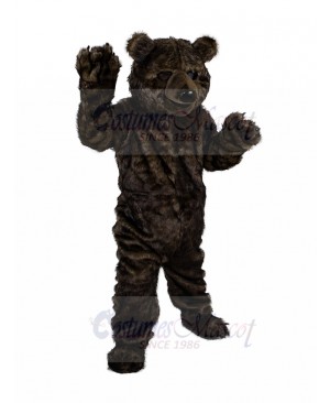 bear mascot costume