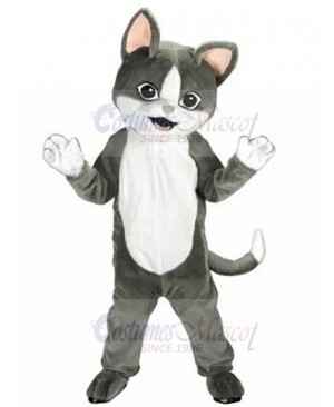 cat mascot costume