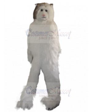 cat mascot costume