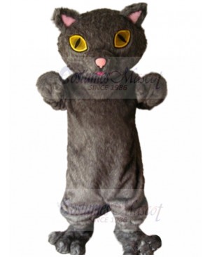 cat mascot costume
