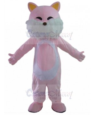cat mascot costume