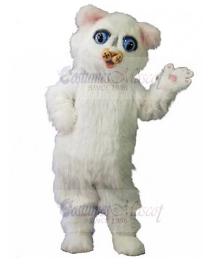 cat mascot costume