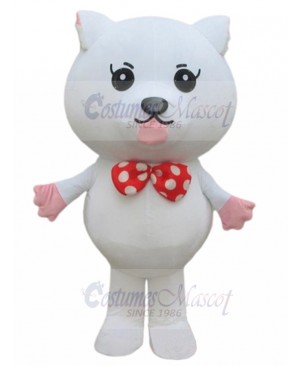 cat mascot costume