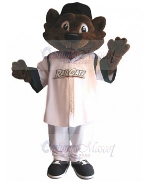 cat mascot costume