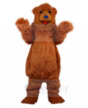 bear mascot costume