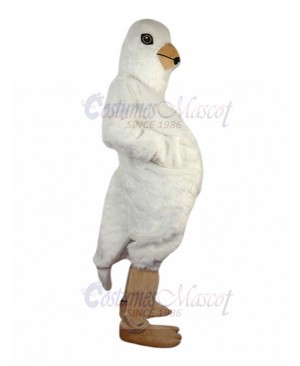 Pigeon mascot costume