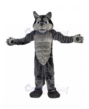 wolf mascot costume