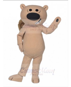 Squirrel mascot costume