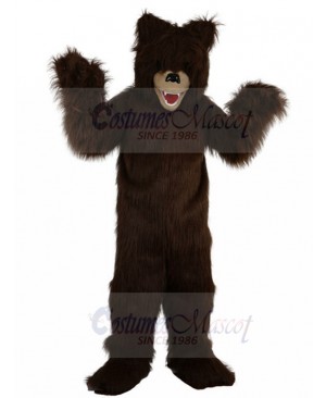 bear mascot costume