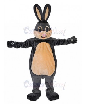 Rabbit mascot costume