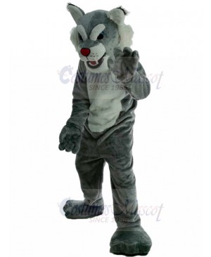 Wildcat Mascot Costume